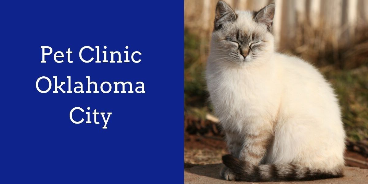 Pet_Clinic_Oklahoma_City