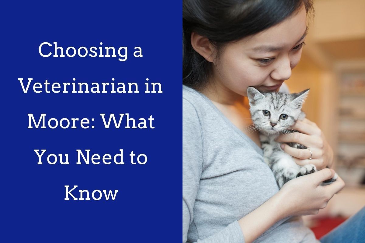 Choosing-a-Veterinarian-in-Moore_-What-You-Need-to-Know