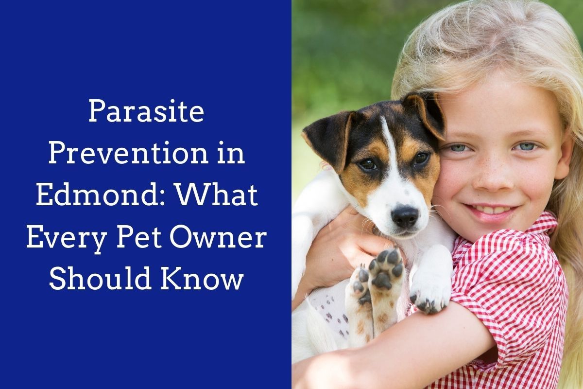 Parasite-Prevention-in-Edmond_-What-Every-Pet-Owner-Should-Know