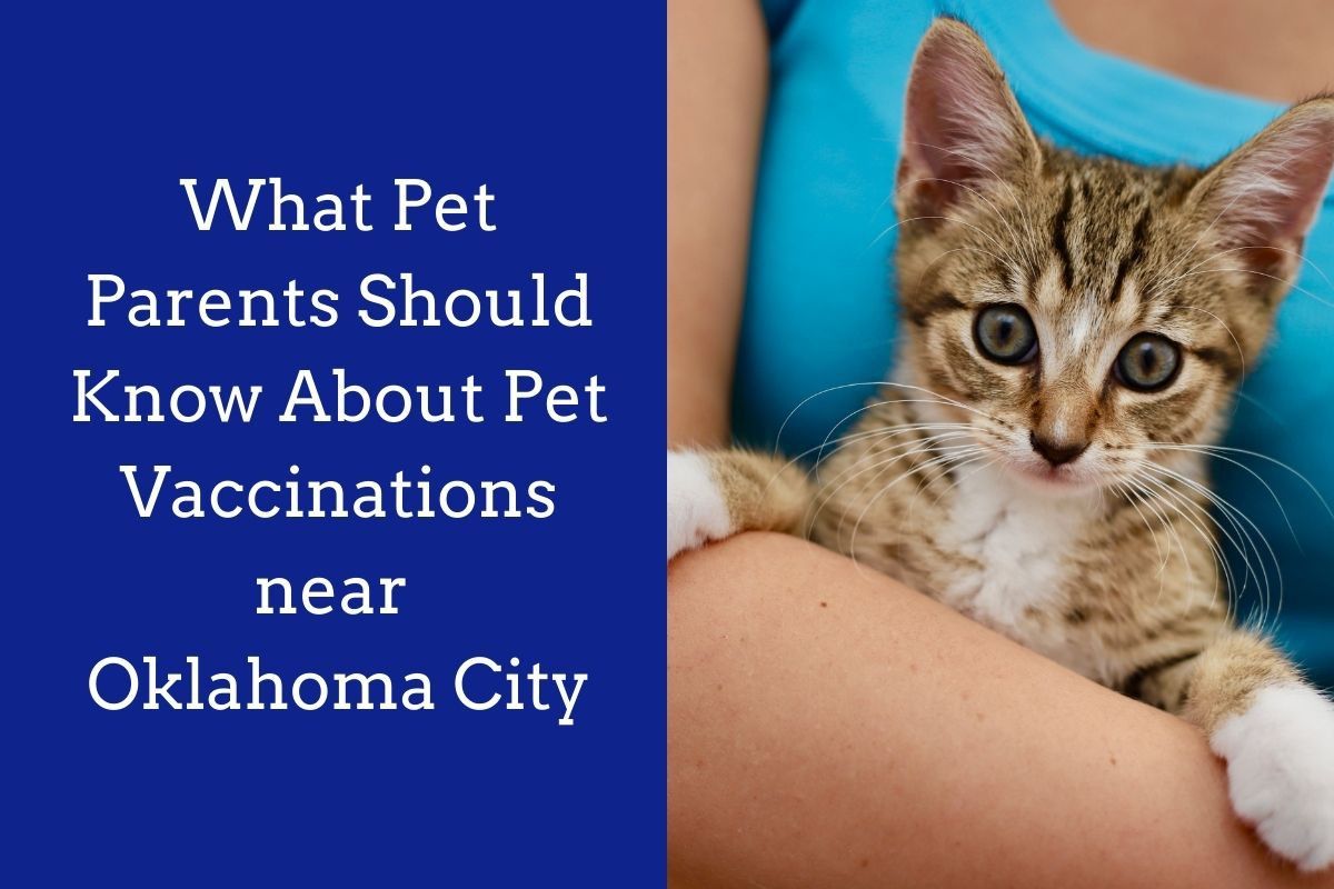 What-Pet-Parents-Should-Know-About-Pet-Vaccinations-near-Oklahoma-City