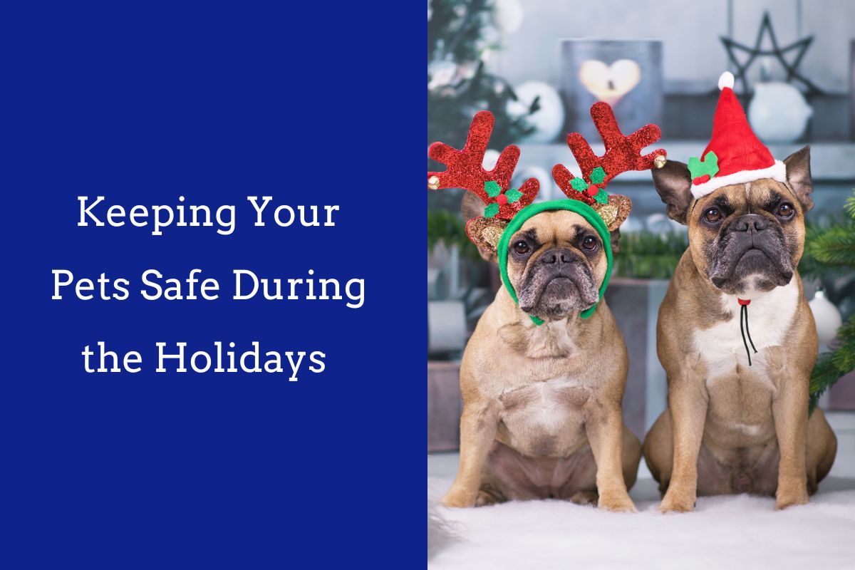 Keeping-Your-Pets-Safe-During-the-Holidays--1
