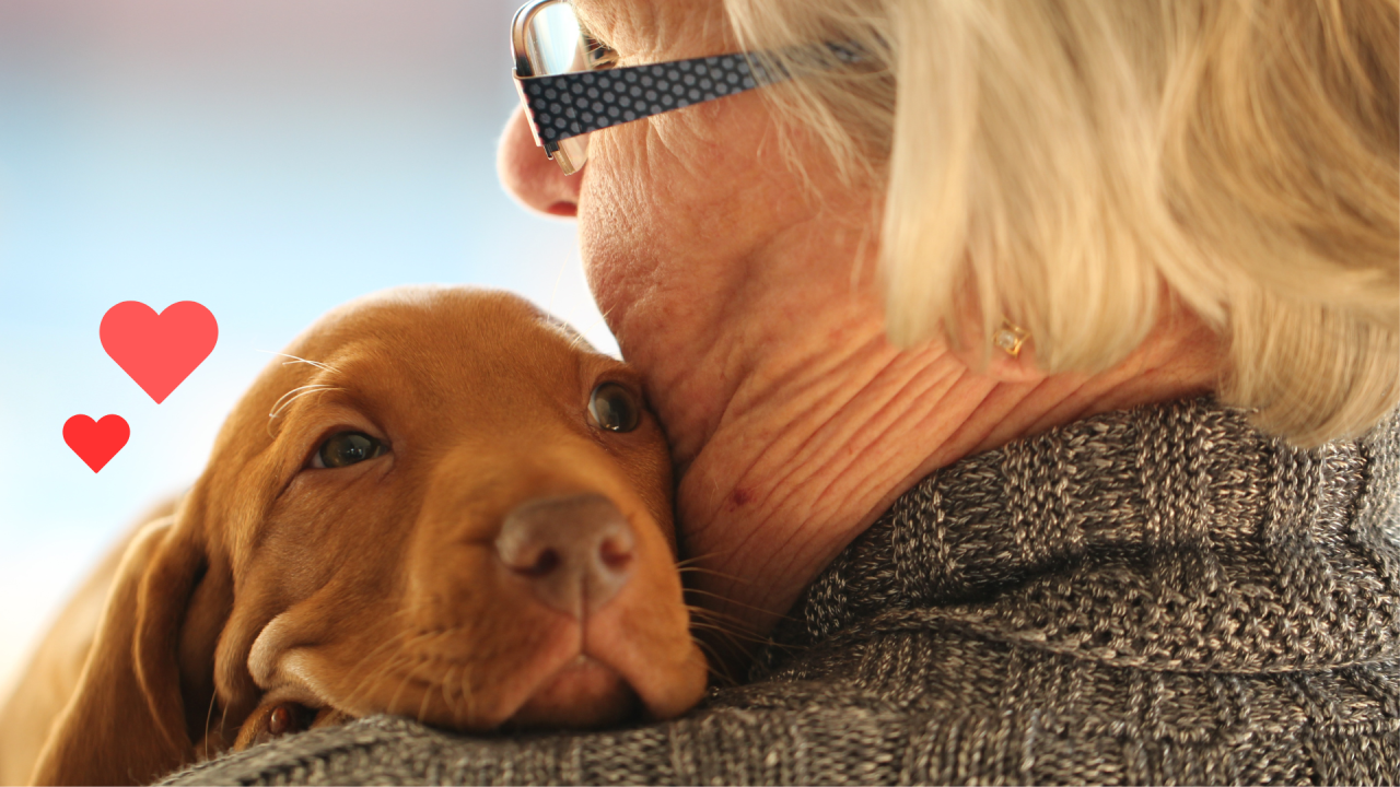 Dog bonding with an owner during new pet preparation with Stoneridge Animal Hospital in Edmond, OK