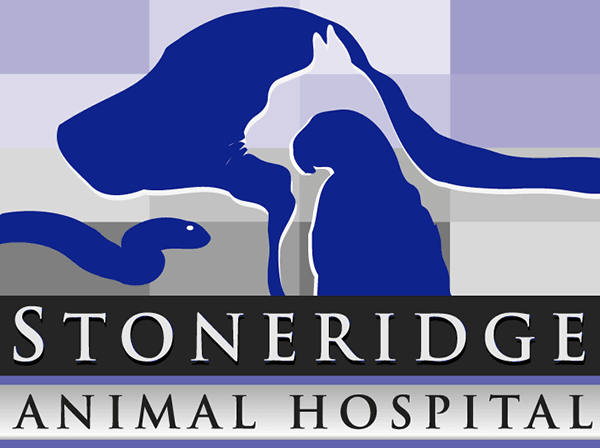 Stoneridge Animal Hospital